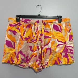 Sanctuary Shorts Size 2X